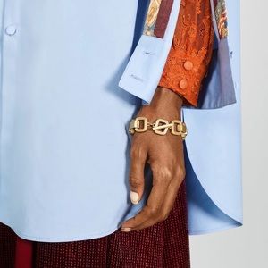 Zara Link Twist Chain or Box Chain Limited Edition Bracelet